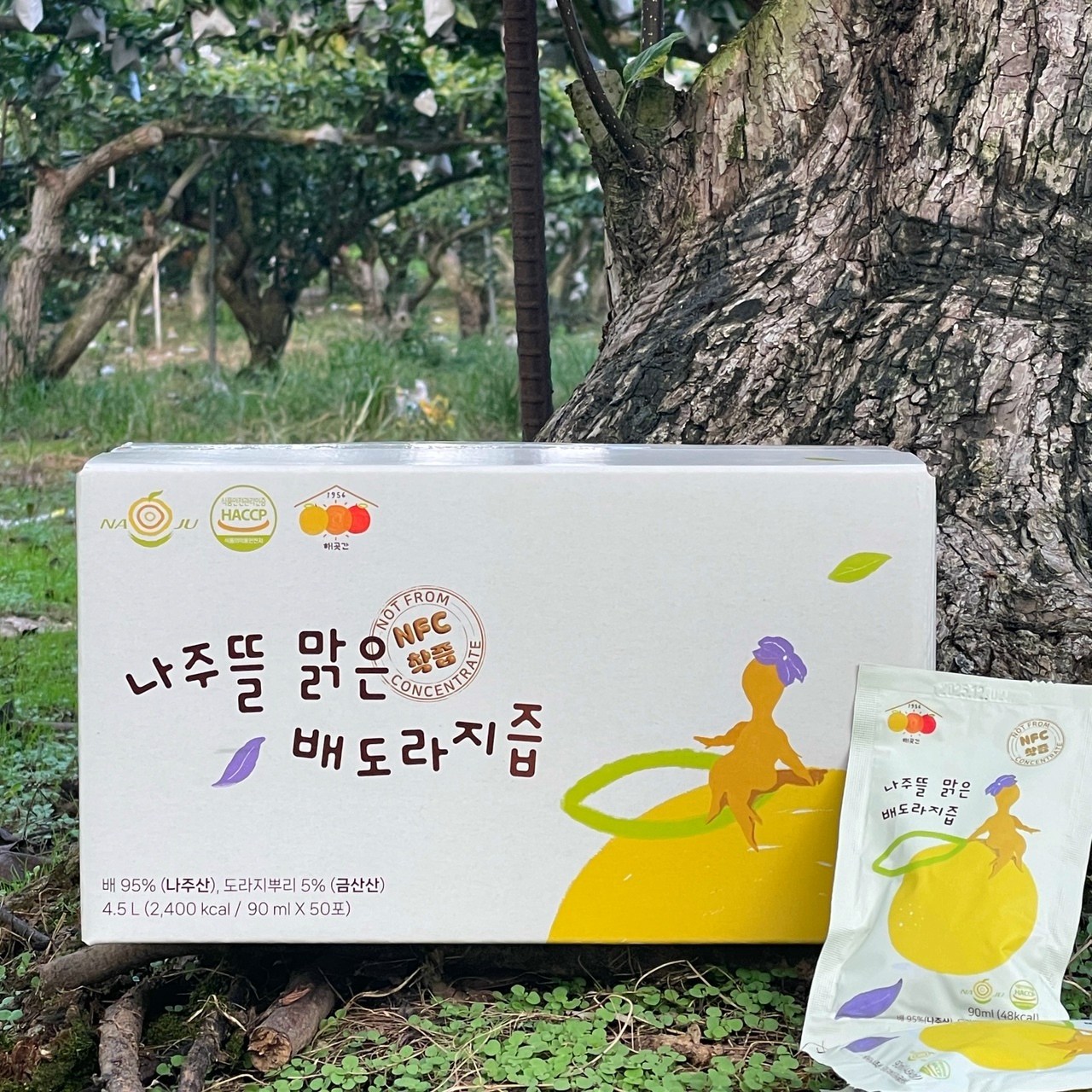 50포입 직접 키운 나주배로만든 도라지배즙 NFC 과채주스 : 해곳간
