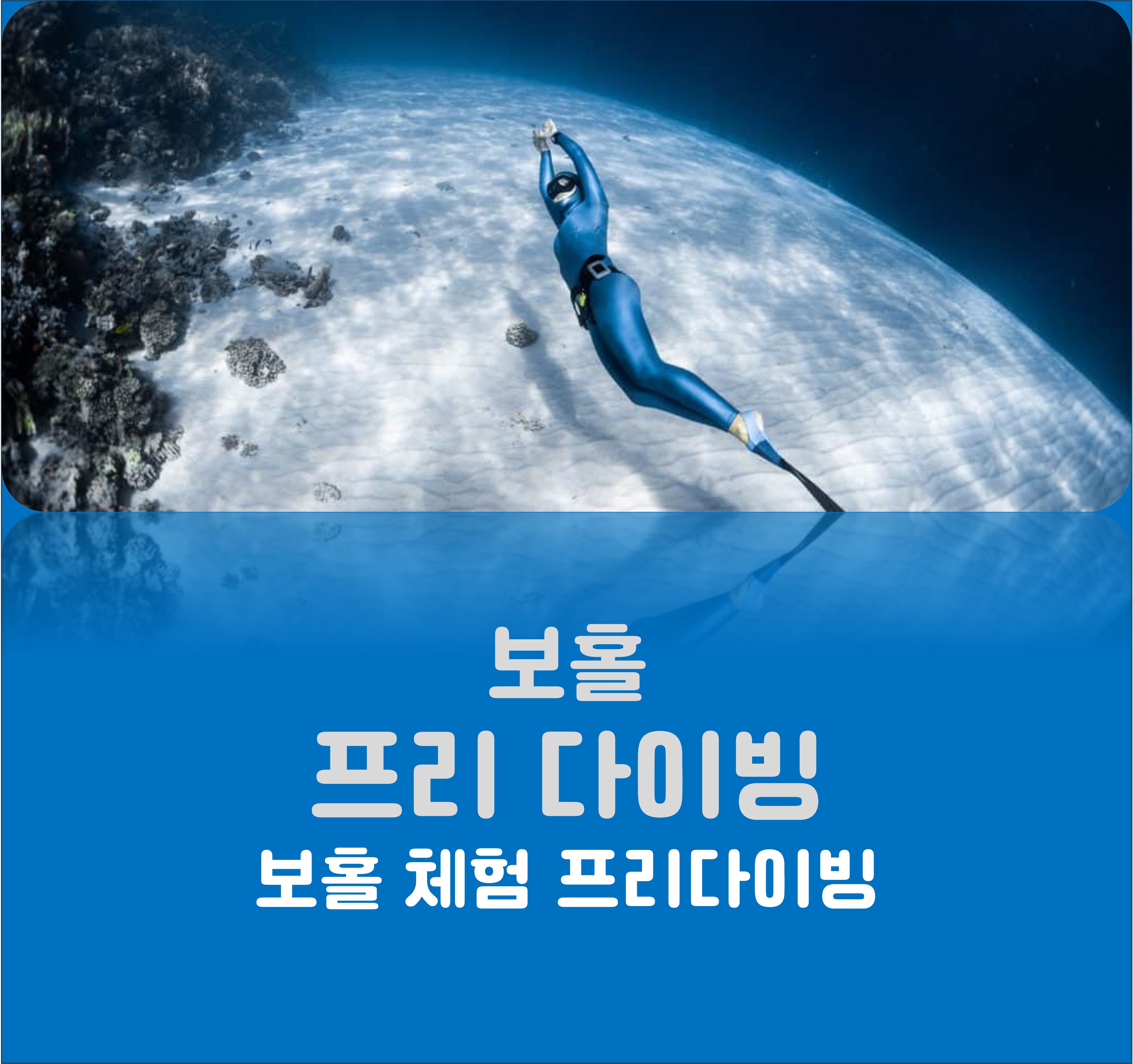 [보홀 프리다이빙]전문 다이빙 센터에서 즐기는 체험다이빙 : 봄봄투어