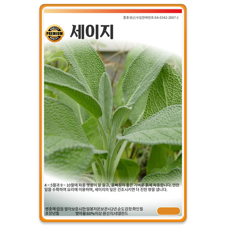 세이지 씨앗 세이지씨 허브씨앗 종자 20립 : 팜앤리빙