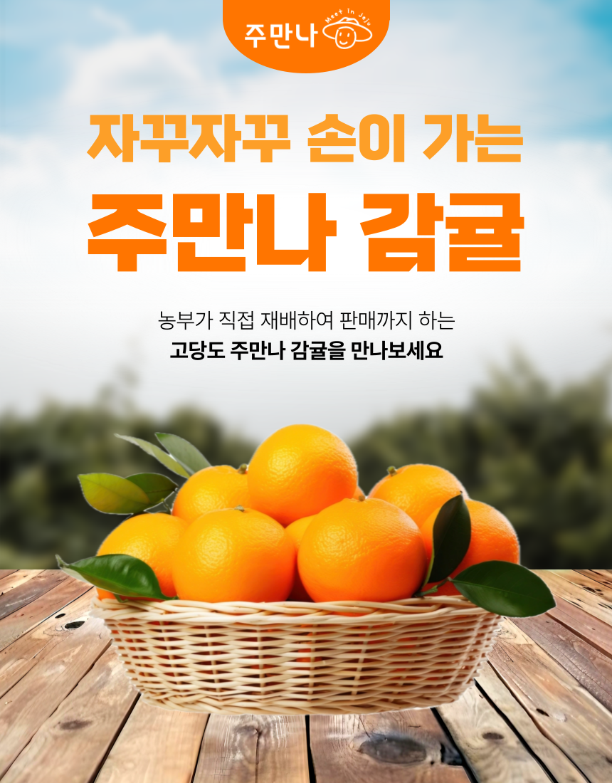 산지직송 새콤달콤 제주 서귀포 주만나 노지 감귤 가정용 10kg : 주만나주