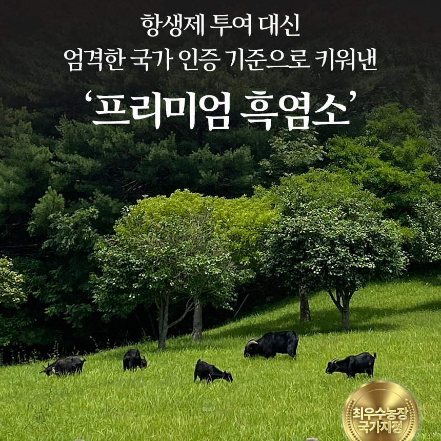 신신당부 흑염소진액 흑염소엑기스 흑염소즙 흙염소 염소즙 1박스 30포 : 신신당부 흑염소진액