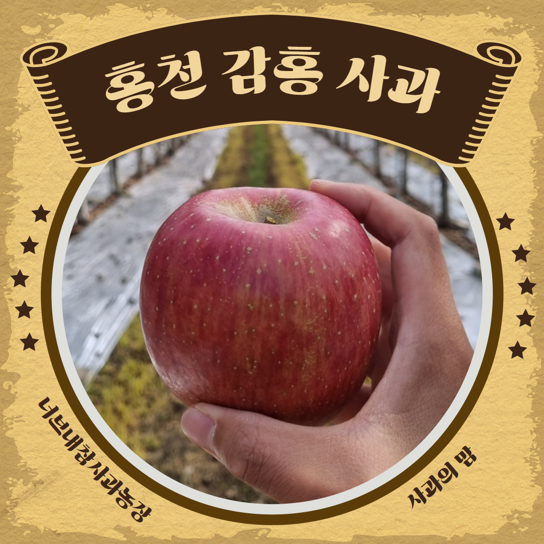 홍천 사과 감홍 사과 4kg 5kg 10kg 너브내참사과농장 산지직송 : 사과의맘