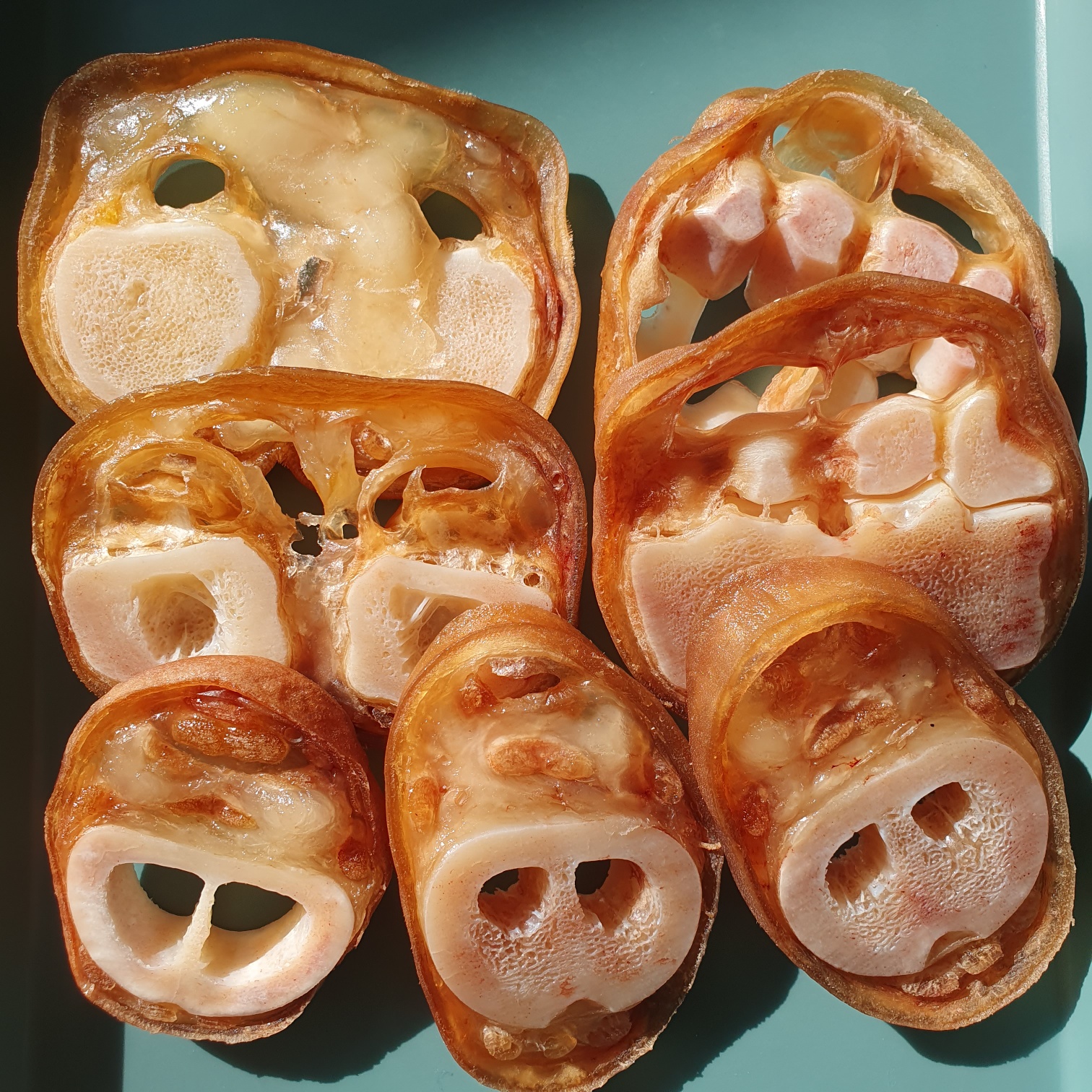 오리목뼈100g 강아지 수제 간식 : 대한견식