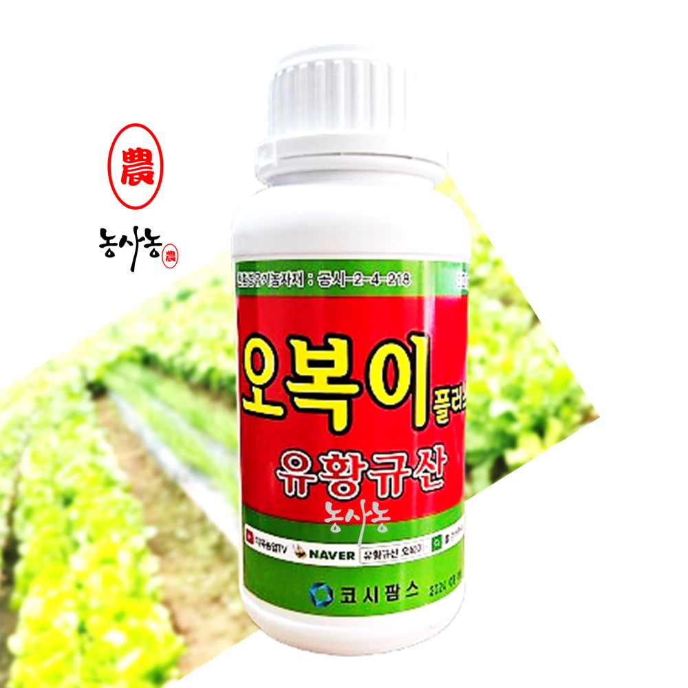 친환경 수용성 유황 규산 비료 마늘 양파 고추 탄저병 식물 영양제 오복이 500ml : 농사농