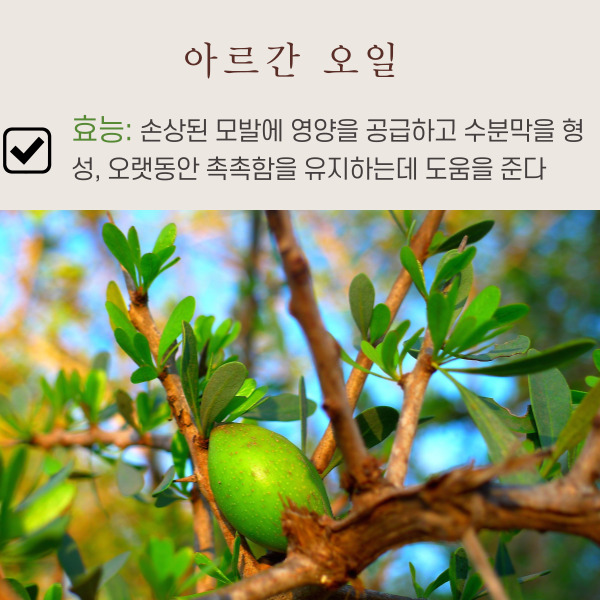 전문가 개발 끈적임이 없는 헤어오일 이지후비너스001투플러스 : 주식회사이지후그린과학