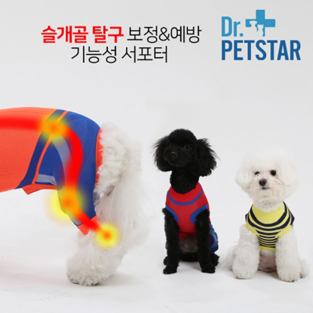 닥터펫스타 강아지 애견 슬개골 보호대 관절 척추 보정옷 : 펫샵맨
