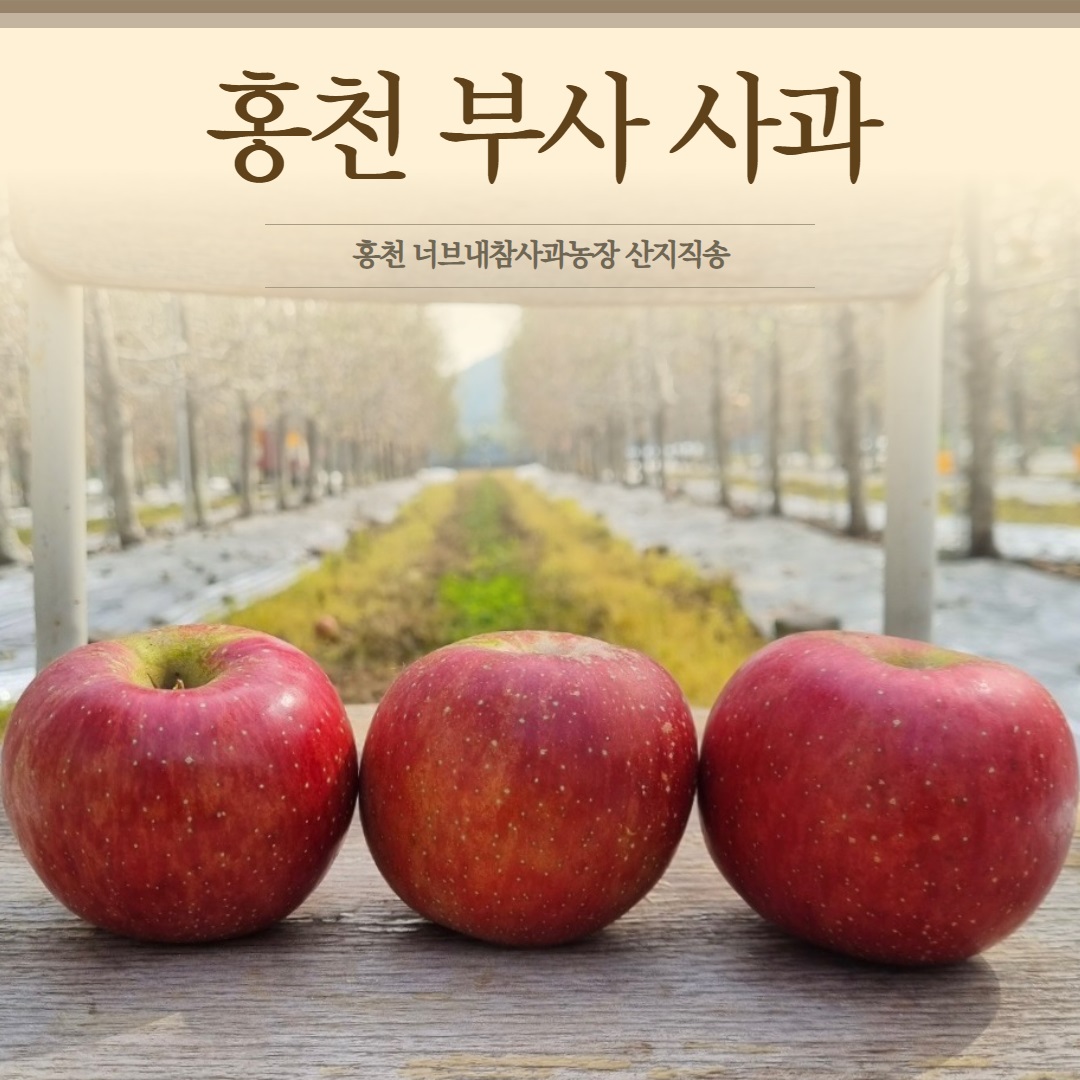 홍천 부사 사과 4kg 10kg 과수원 산지직송 너브내참사과 농장 홍천사과축제 참여 : 사과의맘