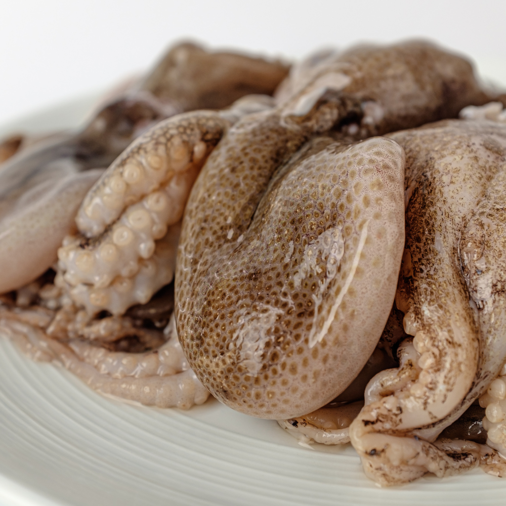 주꾸미 철 쭈꾸미 1kg 생물 냉동 알 : 예담살림곳간