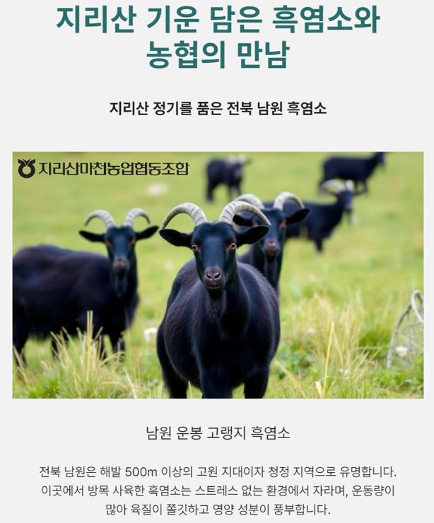 농협 100% 자연방목 국내산 THE 진한 로얄 흑염소 진액 프리미엄 쇼핑백제공 수량별할인 : Royal Made