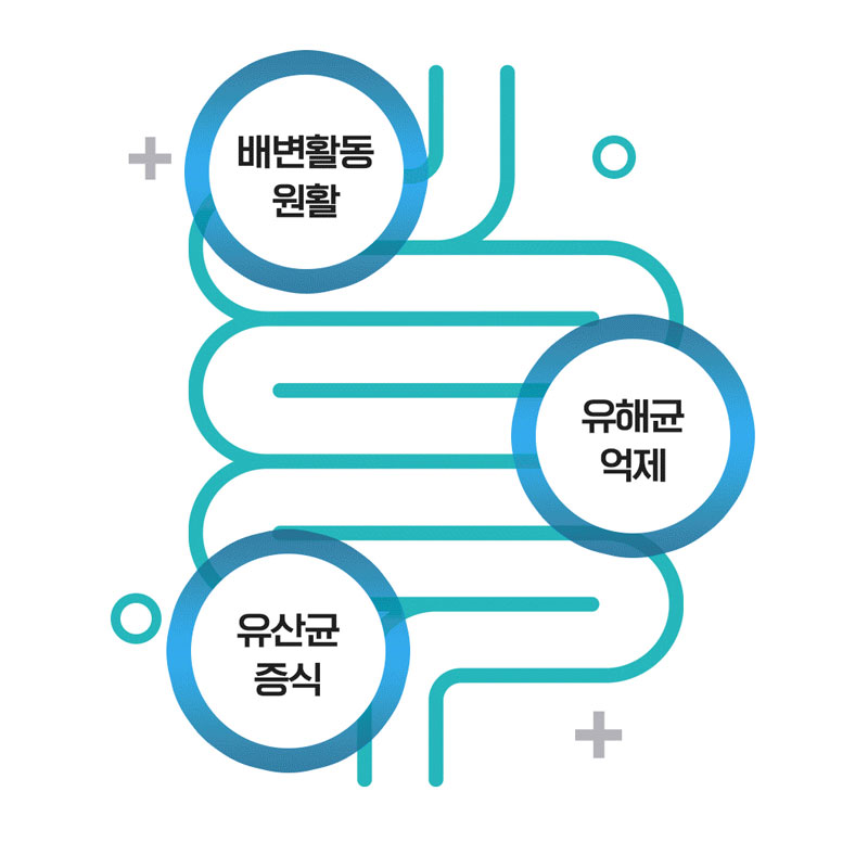 [도착보장] 상아제약 쏙빠지는 프로바이오틱스 프롤린 유산균 2g 30포, 8개 : 마이엘랩