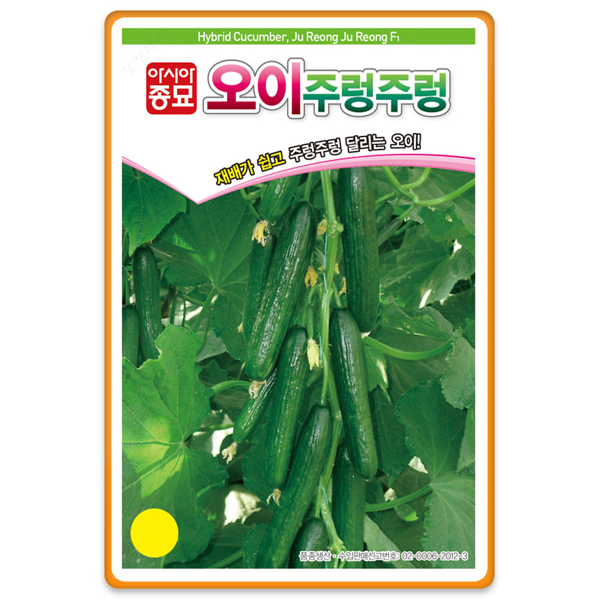 미니 오이씨앗 주렁주렁 종자 오이씨 10립 100립대포장 : 팜앤리빙