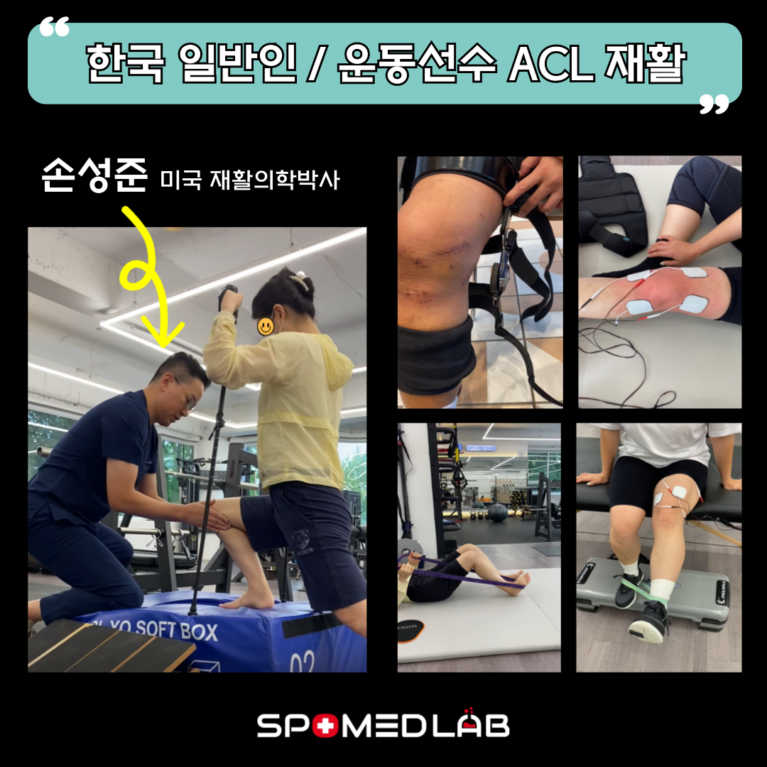11월 10일 (일) 무릎 십자인대 재활운동 실기세미나 : 주식회사 스포메드랩