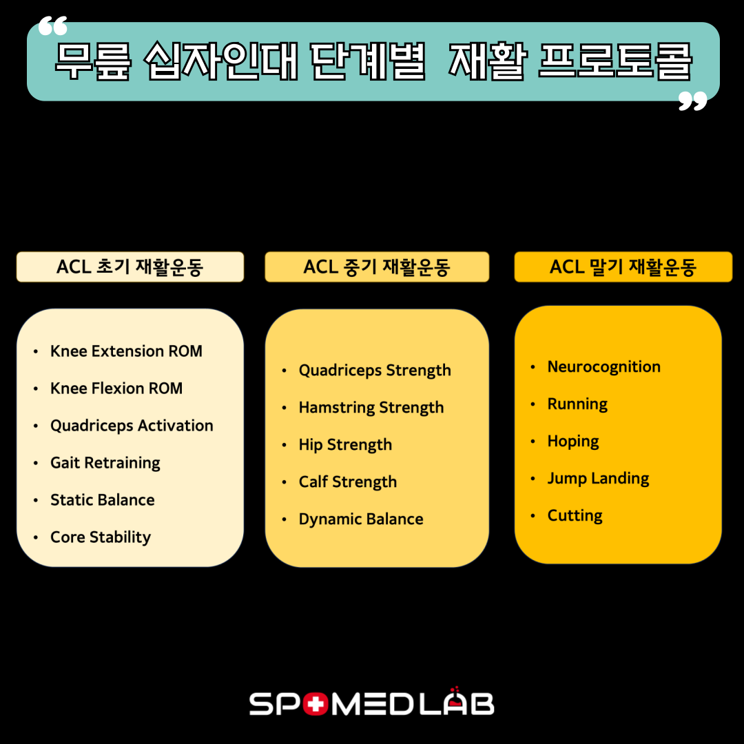 11월 10일 (일) 무릎 십자인대 재활운동 실기세미나 : 주식회사 스포메드랩