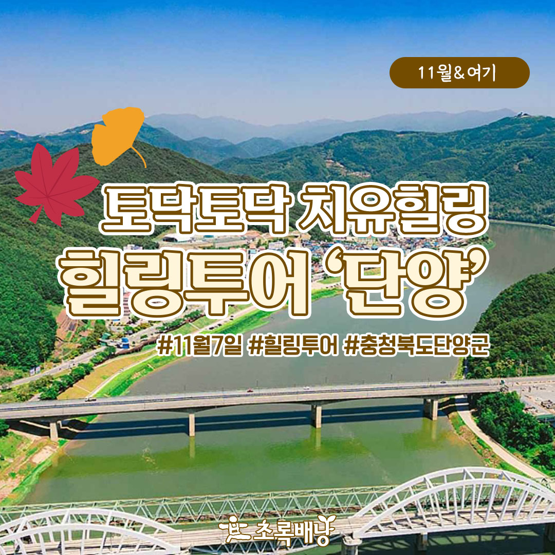 [11월&여기] 가을속으로 힐링투어 단양 : 초록배낭