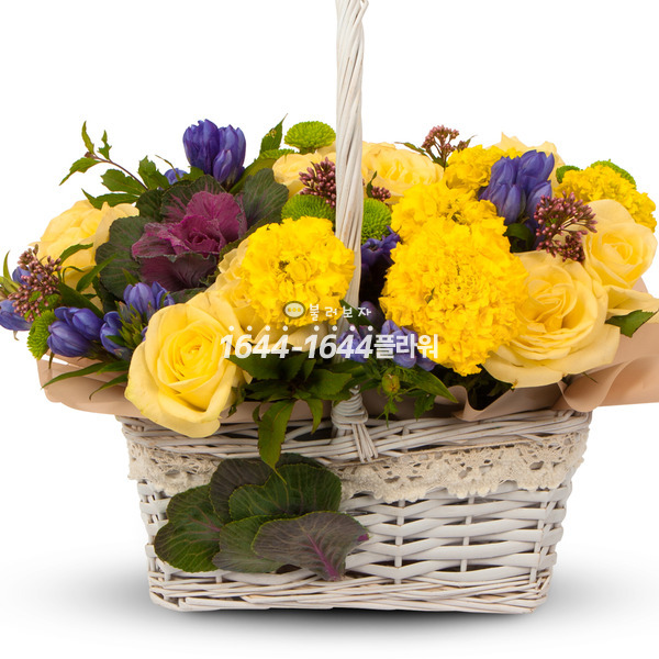 노랑혼합꽃바구니 생일 기념일 프로포즈 축하 선물 전국 꽃배달 서비스 24시통화 : 16441644꽃배달