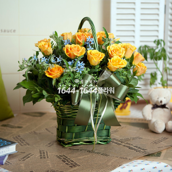 엘로 2호 생일 기념일 프로포즈 축하 선물 전국 꽃배달 서비스 24시통화 : 16441644꽃배달
