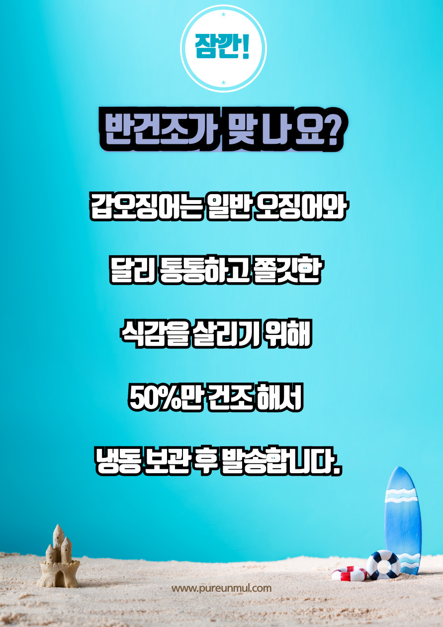 호프집 인기상품 반건조 갑오징어 대/특대 사이즈 준비 : 맛나젓갈 건어물