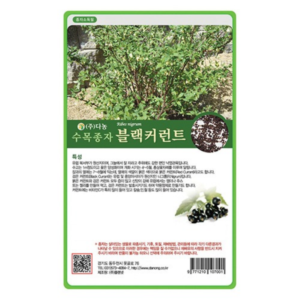 블랙커런트 씨앗 20g 조경 과수 수목 종자 씨 다농 : 늘품씨앗