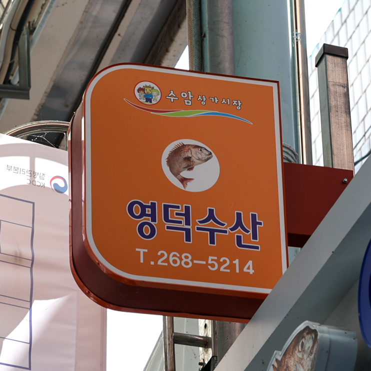 [울산 남구 배달] 골라먹는 재미 모듬회 1kg [수암 영덕수산] : 동네시장 장보기
