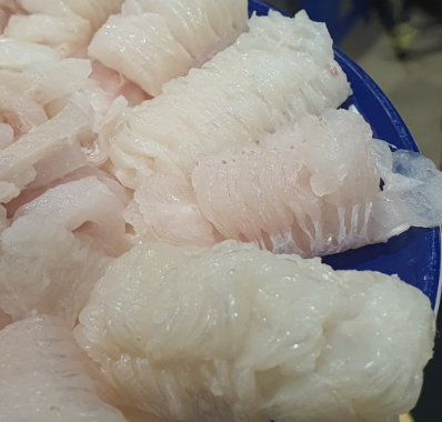 (산지직송) 손질 아나고회 손질전 1kg 세꼬시 순살 : 허리케인수산