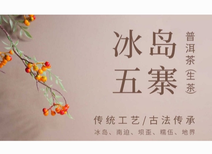 빙도오채보이차 : 다영상사