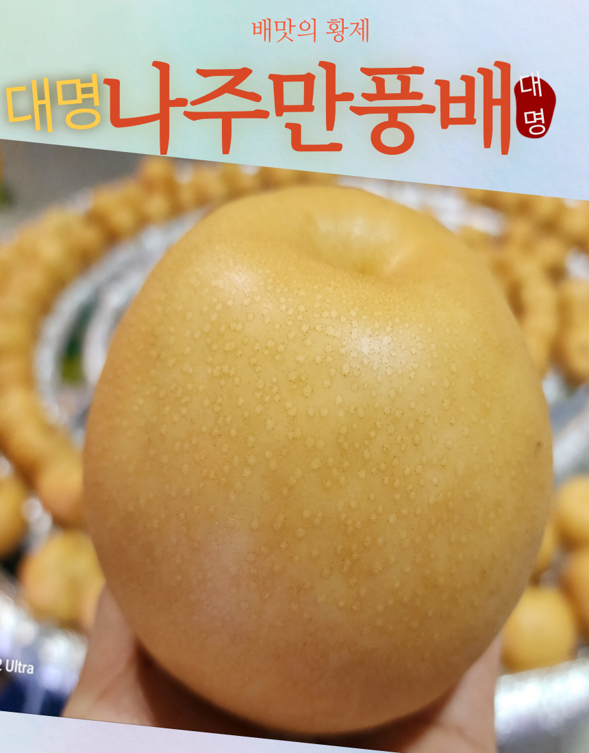 대명나주만풍배 당도의황제 특7.5kg 8내지12과 선물용 GAP 영산강청정지역 대명농원 : 대명농산물프레쉬팜산지마켓