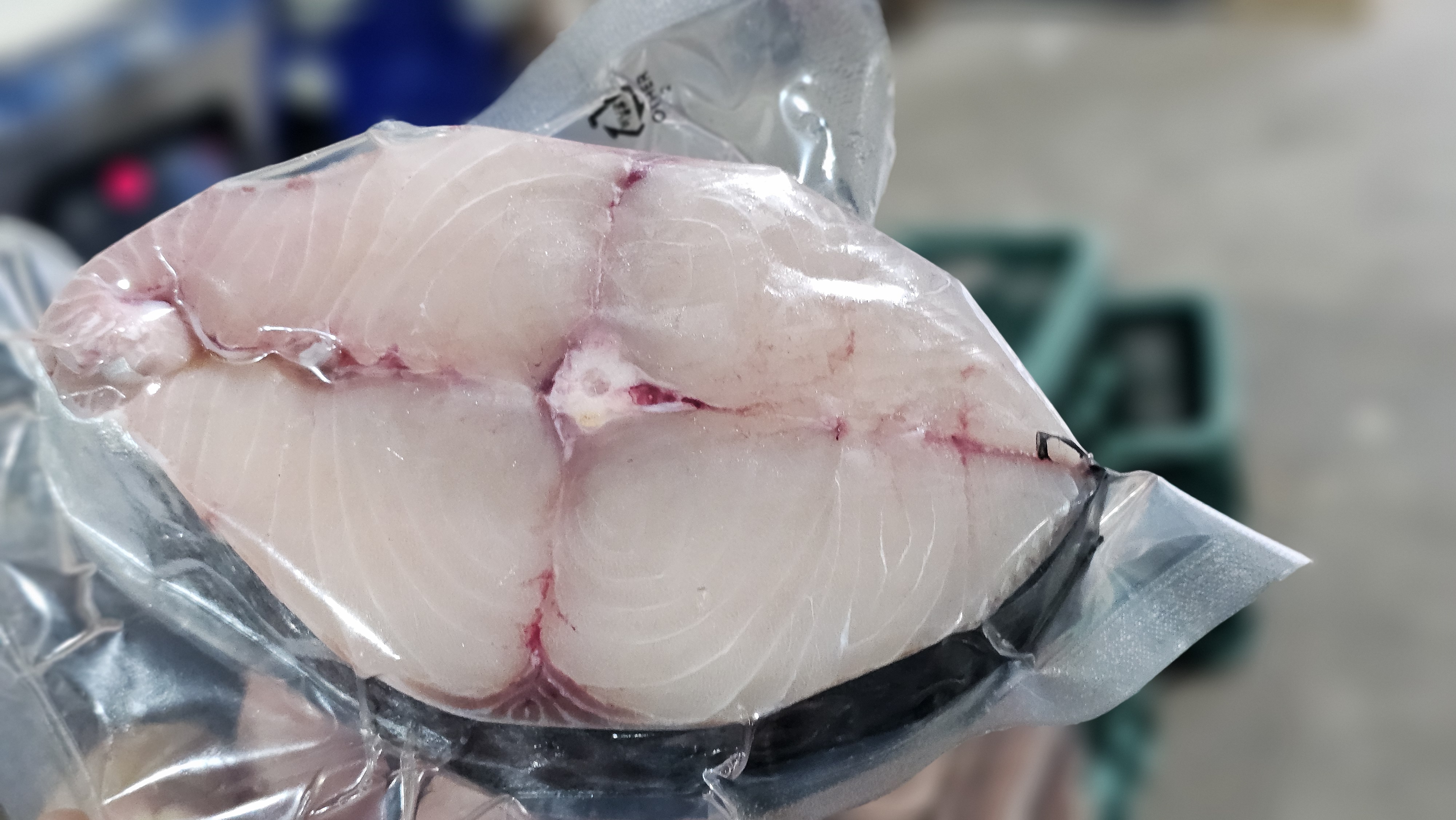 대삼치 스테이크 1kg 삼치구이 필렛 생선구이 삼치요리 펀스토랑 이태곤 : 더좋은씨푸드