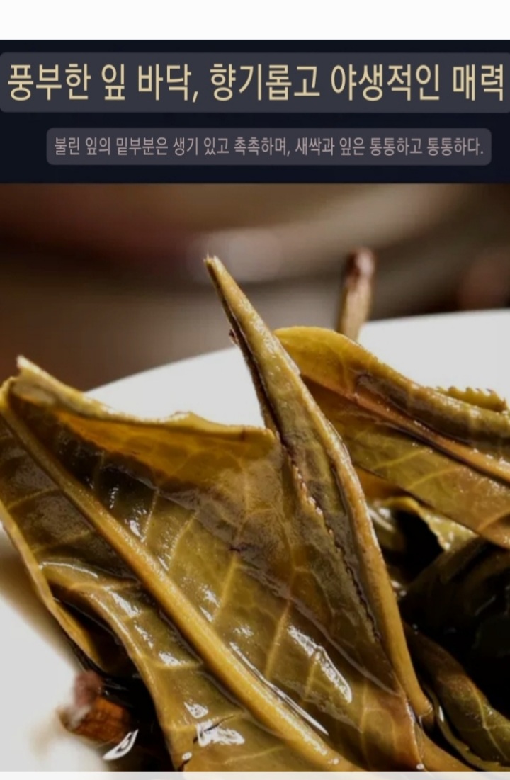 2018년 빙도지계보이차 : 다영상사