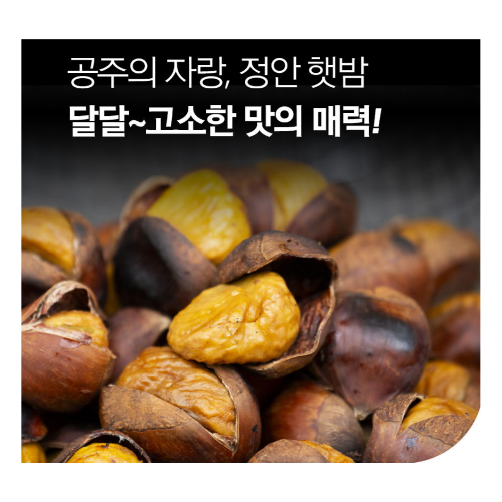 농사친구 2024 공주 정안 알밤 햇밤 깐 밤 옥광 맛밤 2kg 4kg : 농사친구 스토어