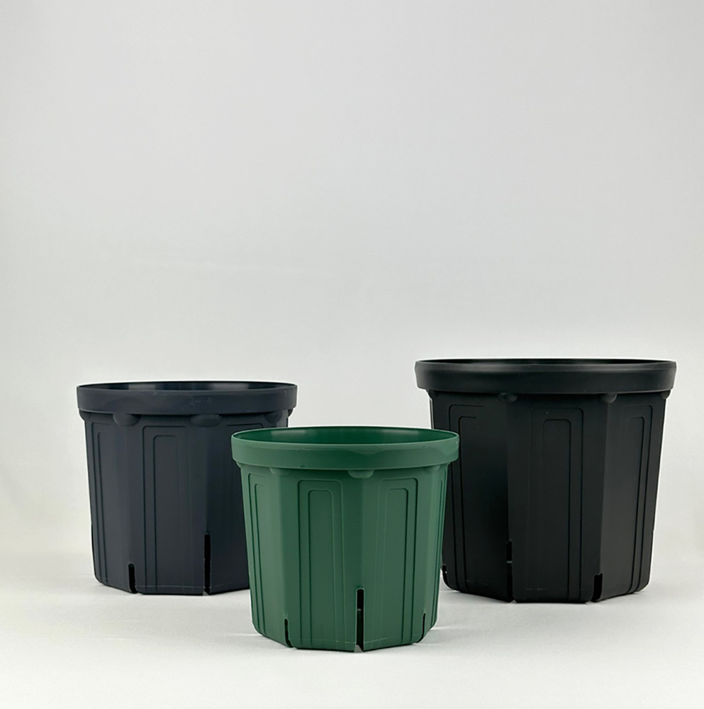 CSM 가네야 슬릿화분 27-40cm 대형화분 나무화분 조경 블루베리 : 수아가든