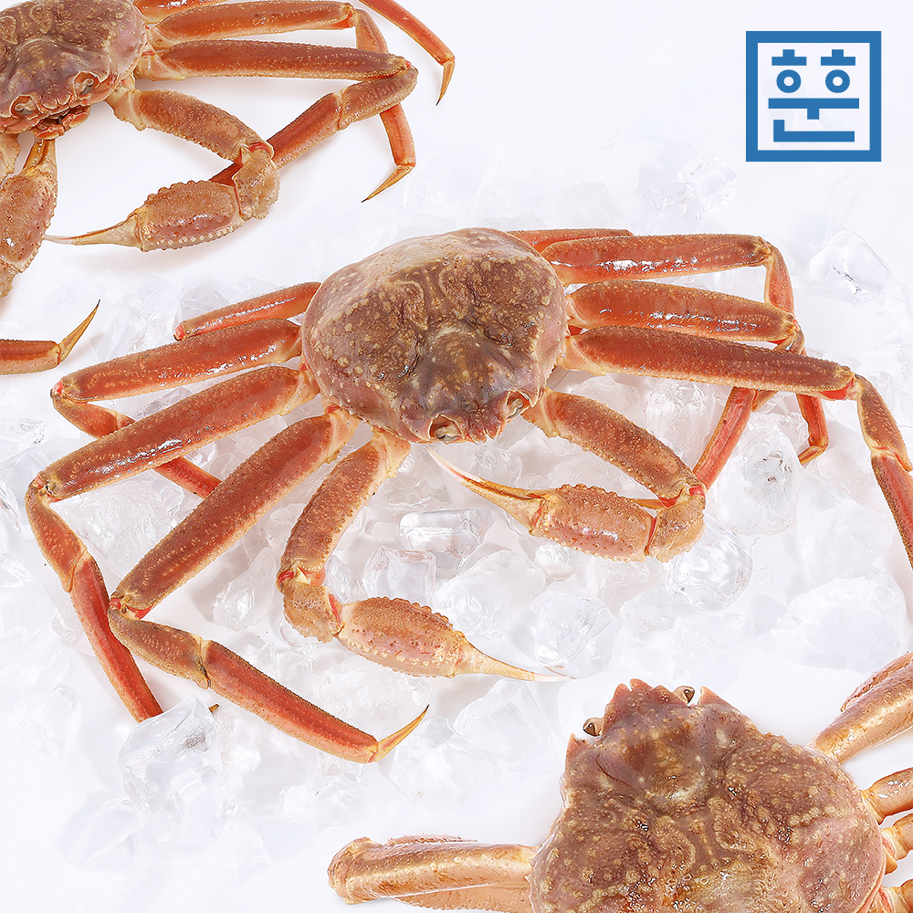 제철 활 박달대게 대게 1kg 러시아 대게 : 훈훈수산