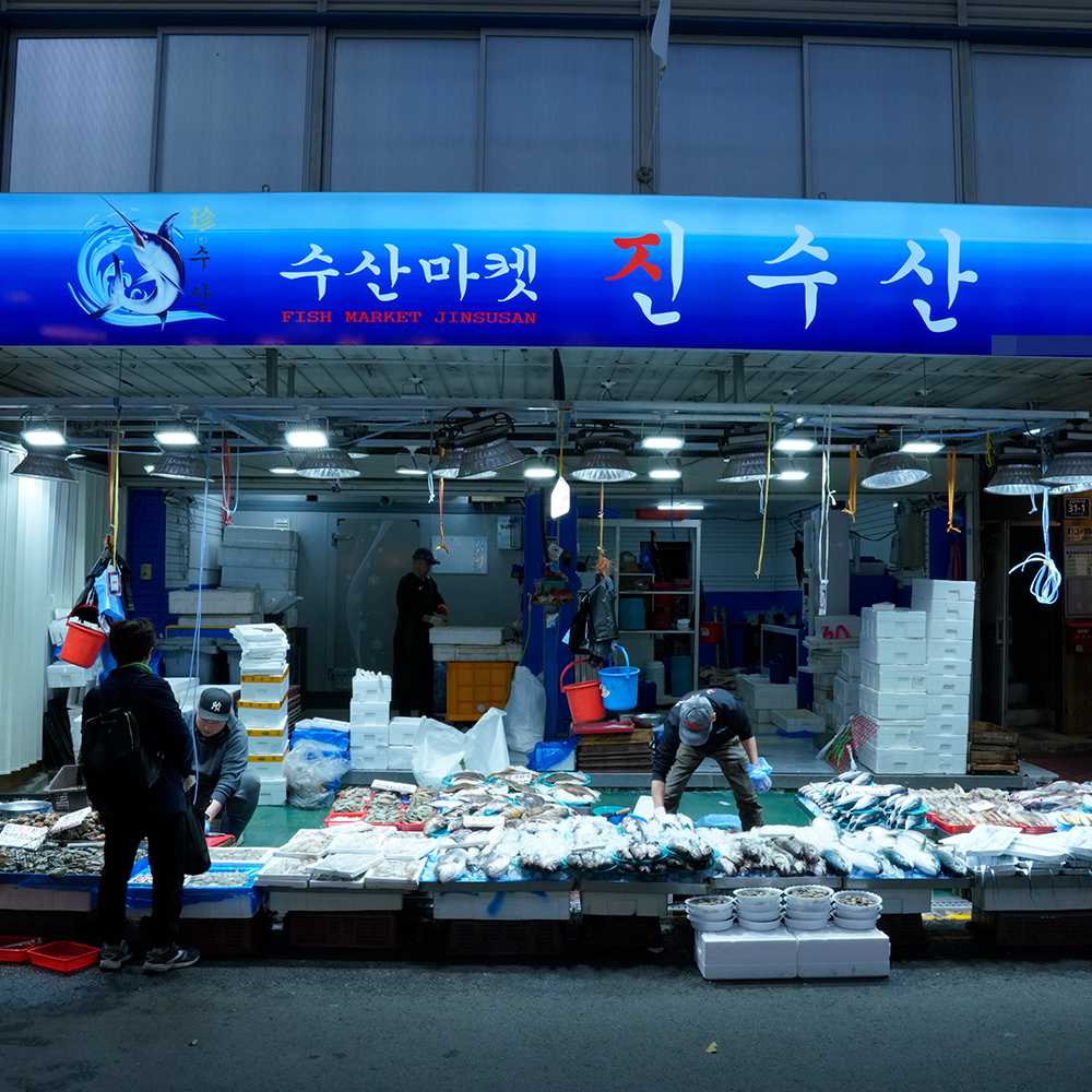 [서울시 일부 배달] 품질 좋은 맛 좋은 민어조기 4마리 [신영 진수산] : 동네시장 장보기