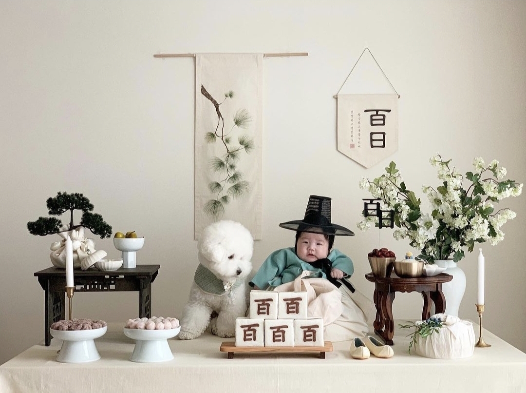 온리마이유 백일상 대여 아기 100일 돌  프리미엄소나무 : 온리마이유 백일상대여 돌상