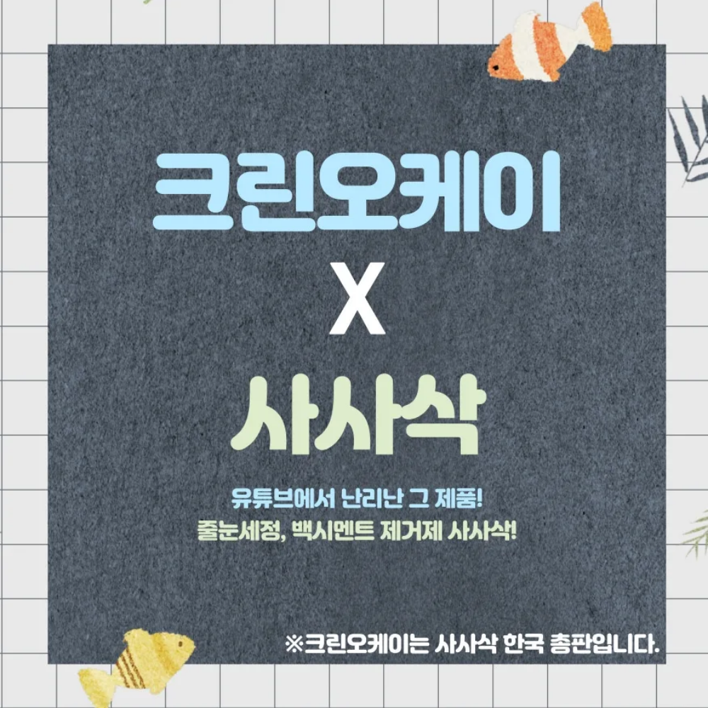 크린오케이 사사삭 4L, 4kg+작업용 붓 2개 / 줄눈세정 타일세척제 백시멘트 백화현상 제거 : 청소용품판매