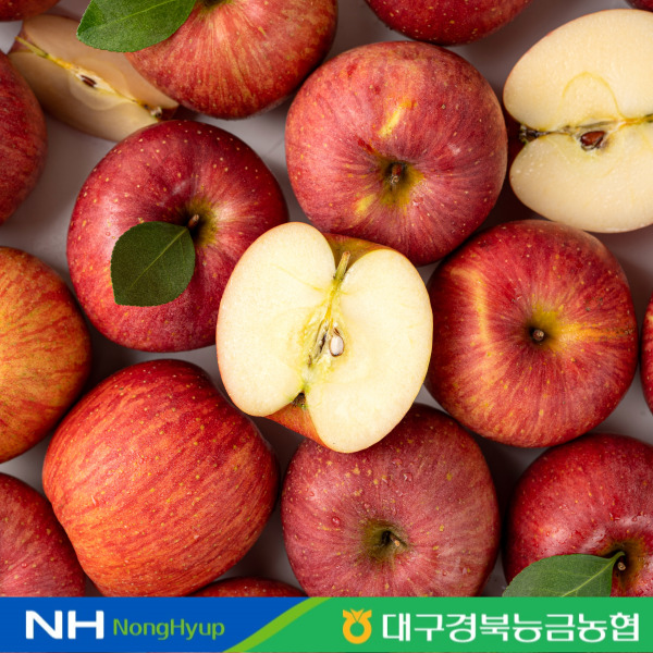 [대구경북능금농협] 청송 부사사과 정품 3kg 12-15과 : NH경북농협