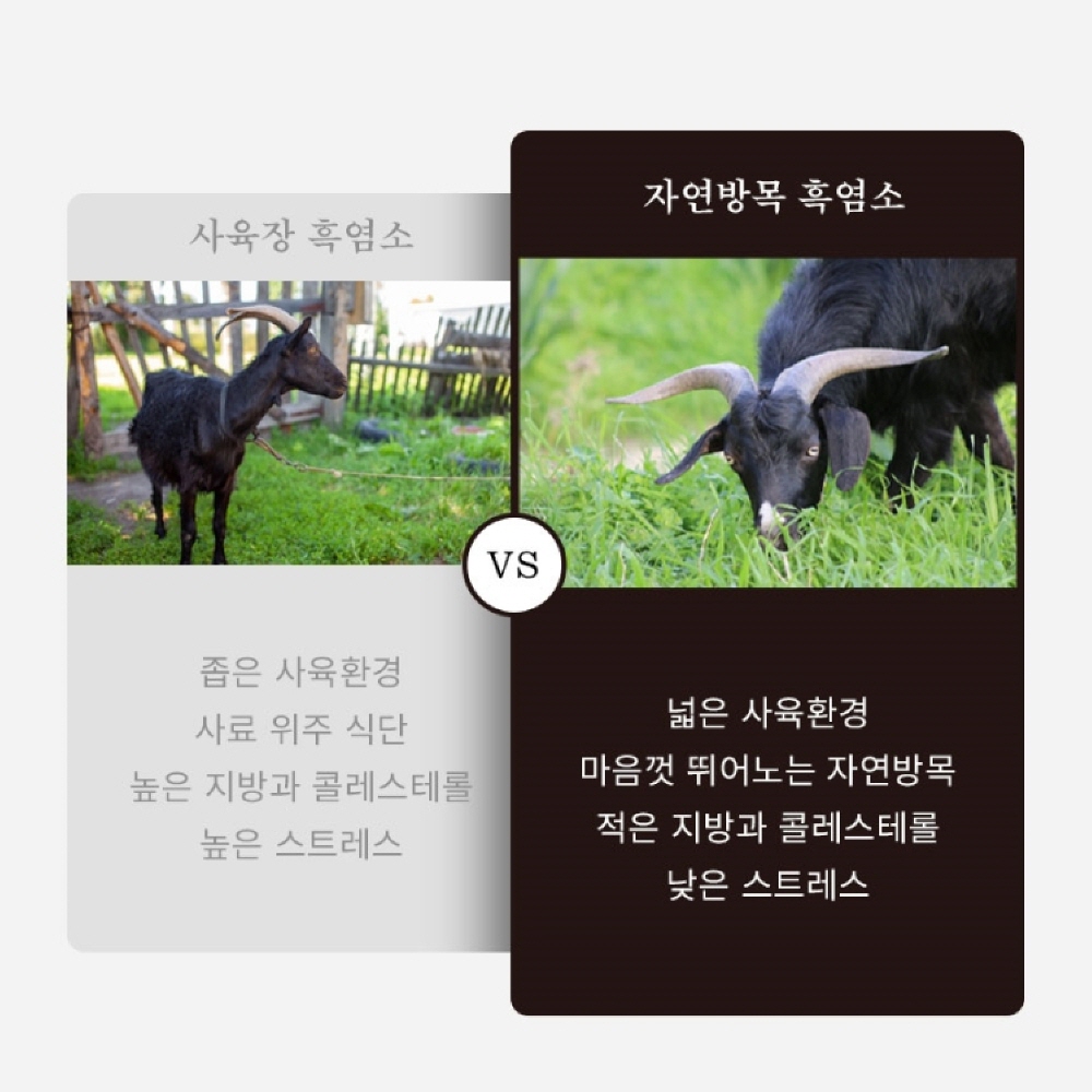 흑염소 즙 진액 혼합추출액 홍삼액 자연방목 70g : 수상한 알약상점