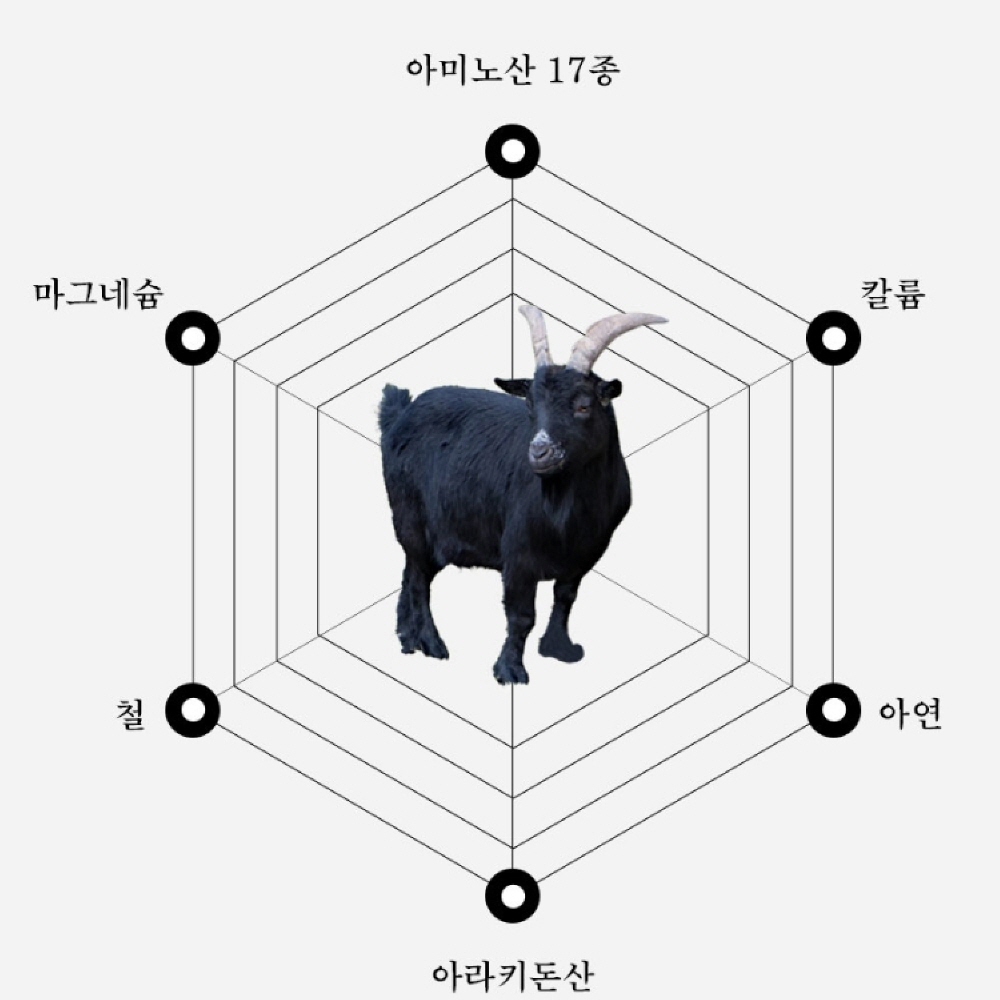 흑염소 즙 진액 혼합추출액 홍삼액 자연방목 70g : 수상한 알약상점