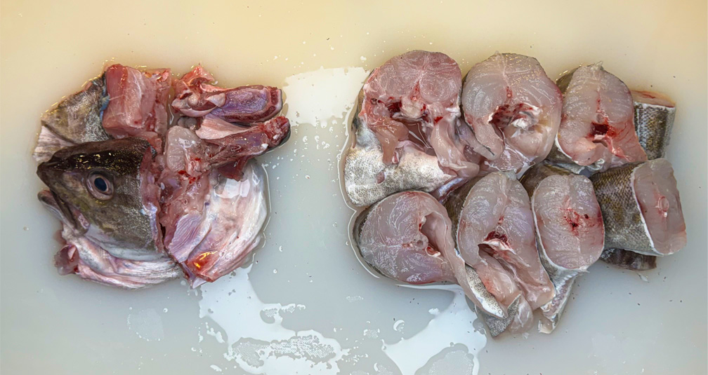 생대구 국내산 동해 포항 알곤이 생물 대구 뽈살 레시피 2kg : 칠성시장우성수산