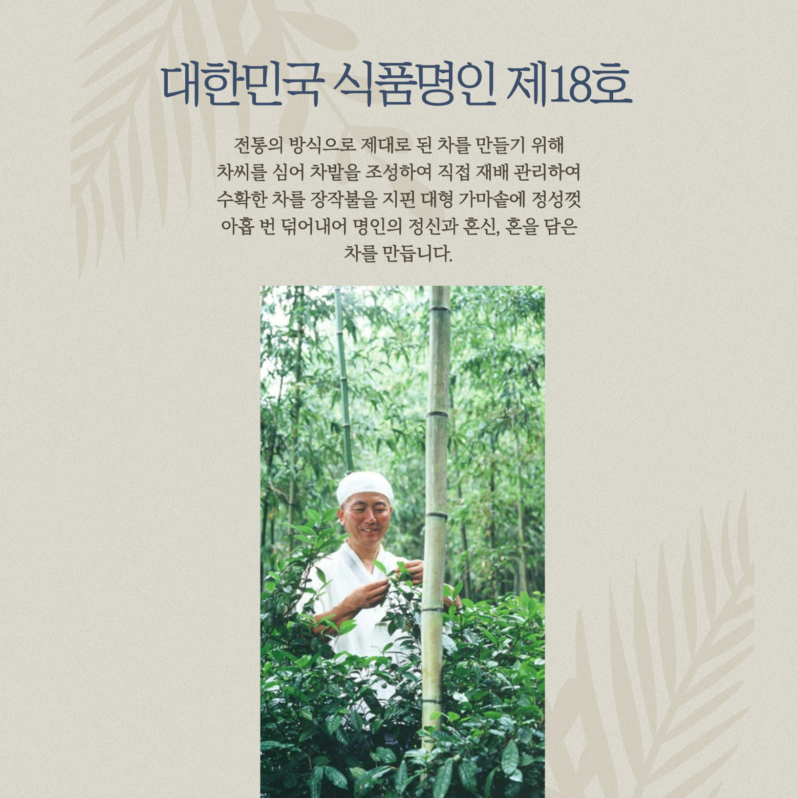 명인 신광수차 무차 세트 프리미엄 블랜딩티 스틱티백 10종 10개입 세트 : 강철 유통