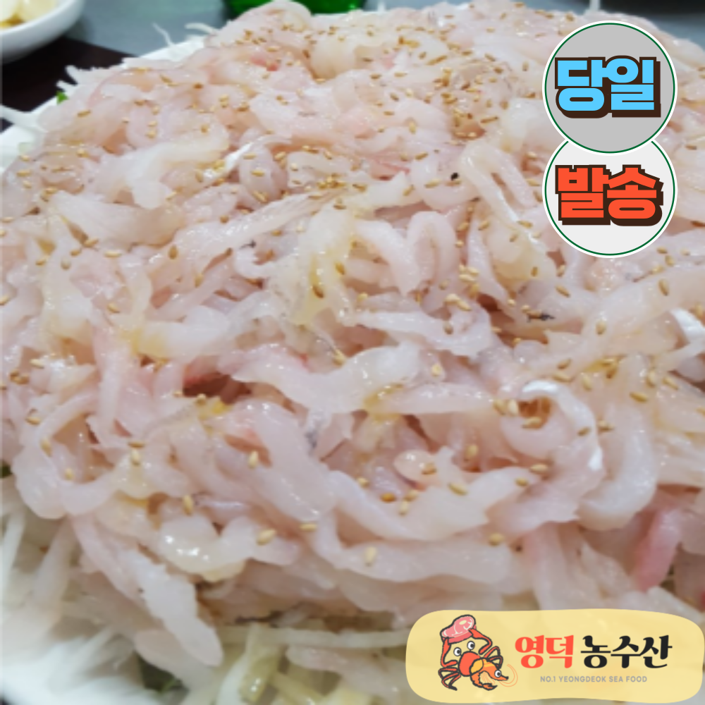 영덕농수산 미주구리회 300g 1+1 한팩더 물가자미 기름 가자미 회 회무침 세꼬시 : 영덕농수산