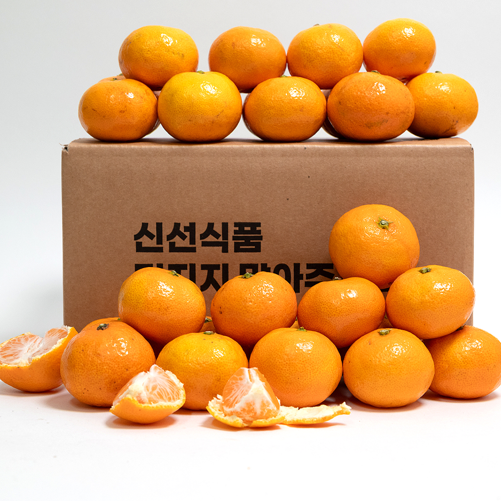 용용 고당도 타이벡 감귤 프리미엄 서귀포 제주산 : 용용후르츠