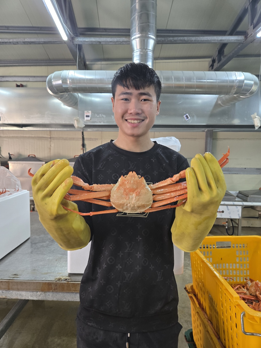 태양호 태양수산연지홍게 선주직송 구룡포 산지직송 간편한 자숙홍게 3kg : 태양호태양수산