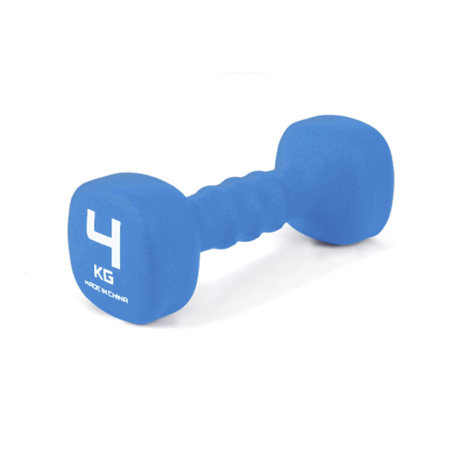 네오프렌 사각 아령 0.5kg 미용 홈트 헬스 다이어트 운동 여성 여자 초보자 용 덤벨 : 삼대헬스빌