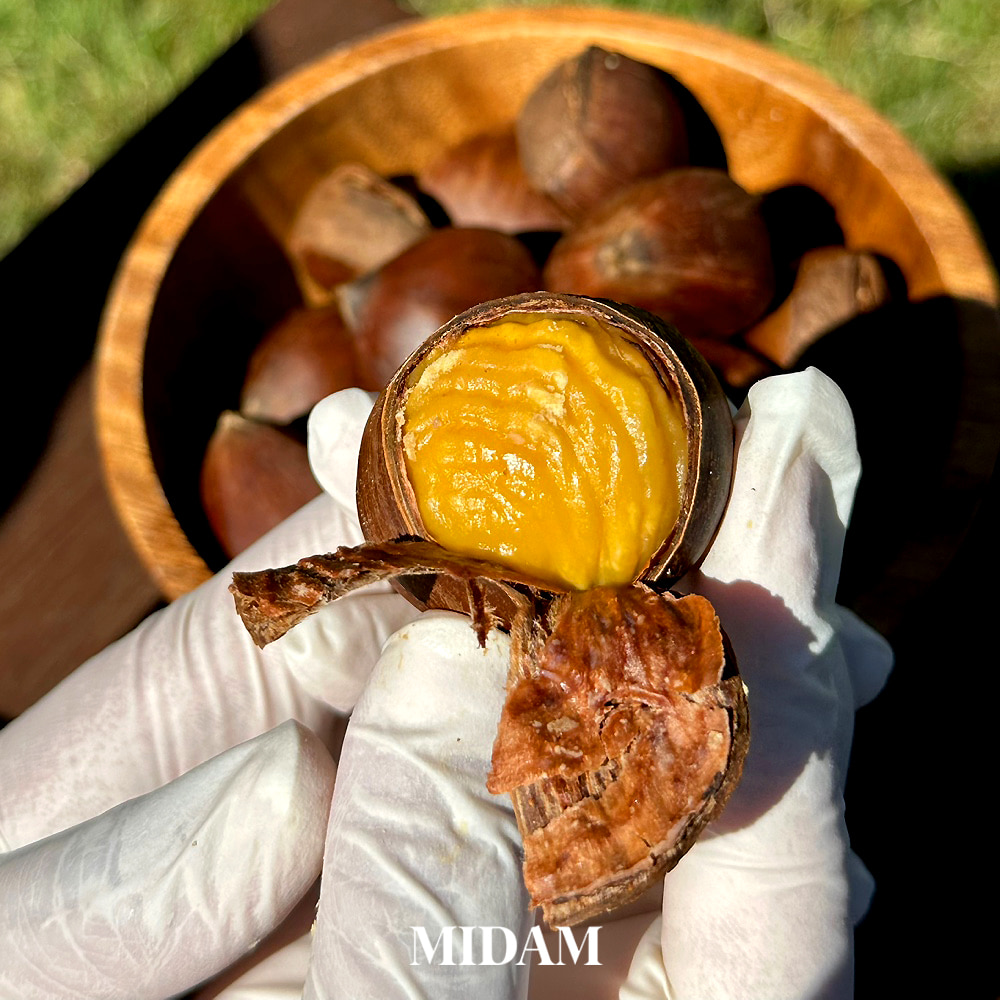 톡톡 까먹는 달콤하고 간편한 생율밤 : 미담상회
