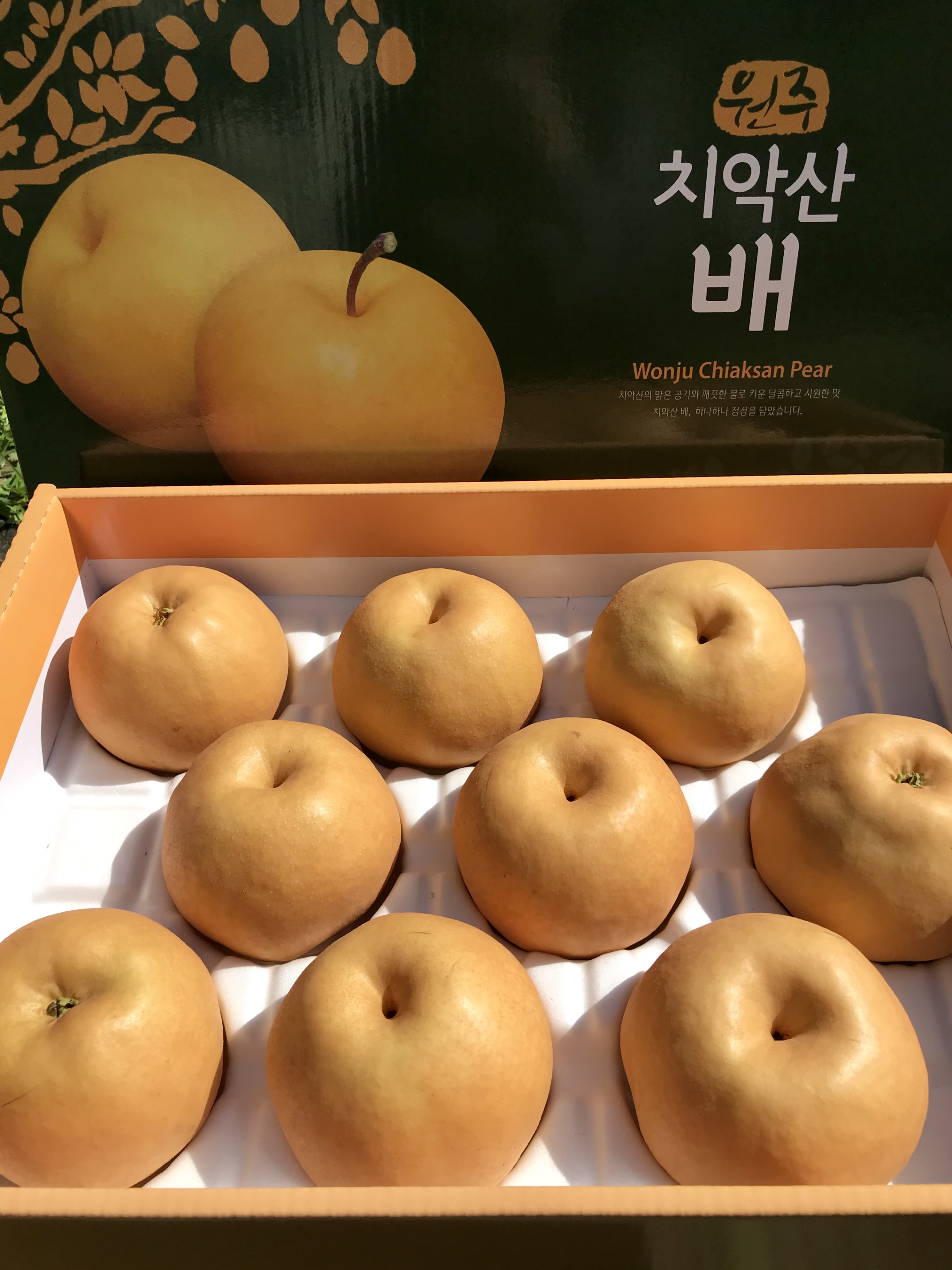 [대성농원] 2024 강원도 치악산 신고배 5kg : 치악산 대성농원