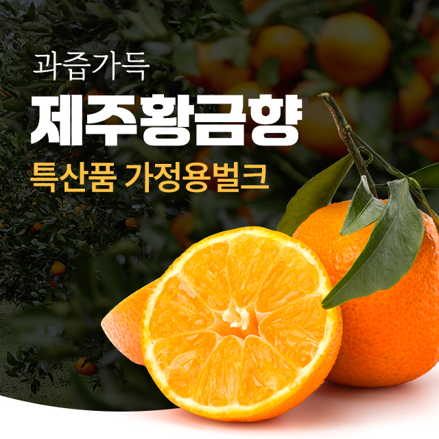 과즙가득 제주 황금향 특산품 가정용벌크 3kg, 5kg : 제주탐스런귤자매