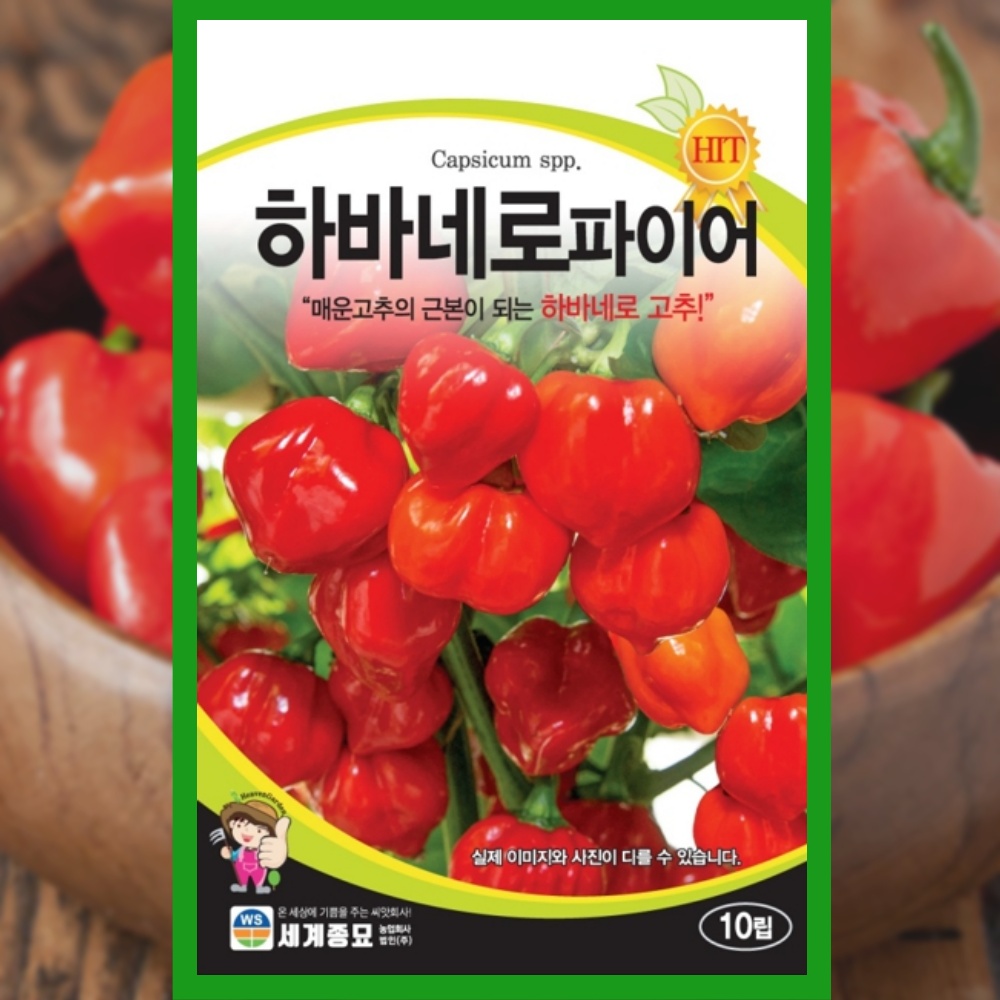 청양고추 씨앗 10립 하바네로 파이어 고추 종자 : 파머씨드