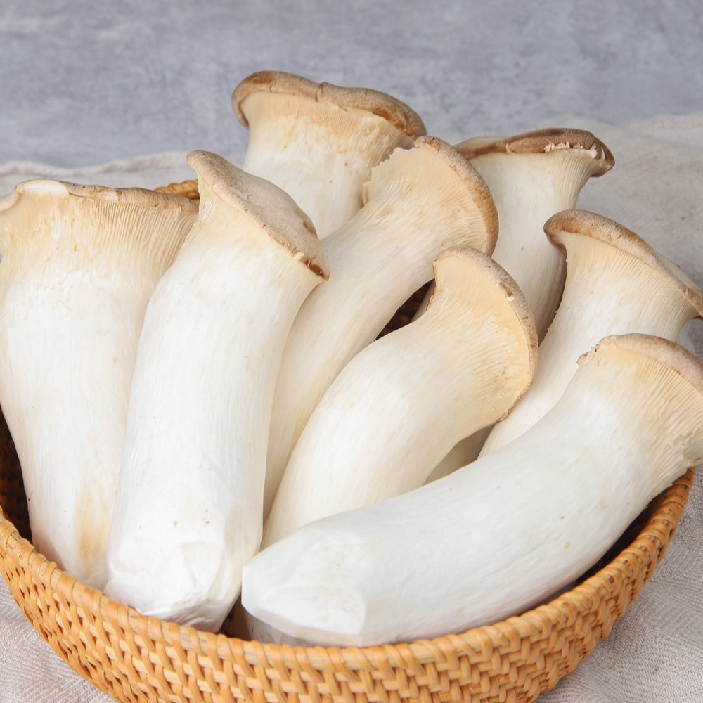 새송이버섯 2kg : 백미양식
