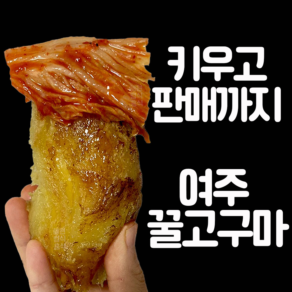 [맛보장] 24년 여주 고구마 3kg 5kg 10kg 친환경 꿀고구마 베니하루카 : 그린농업회사법인