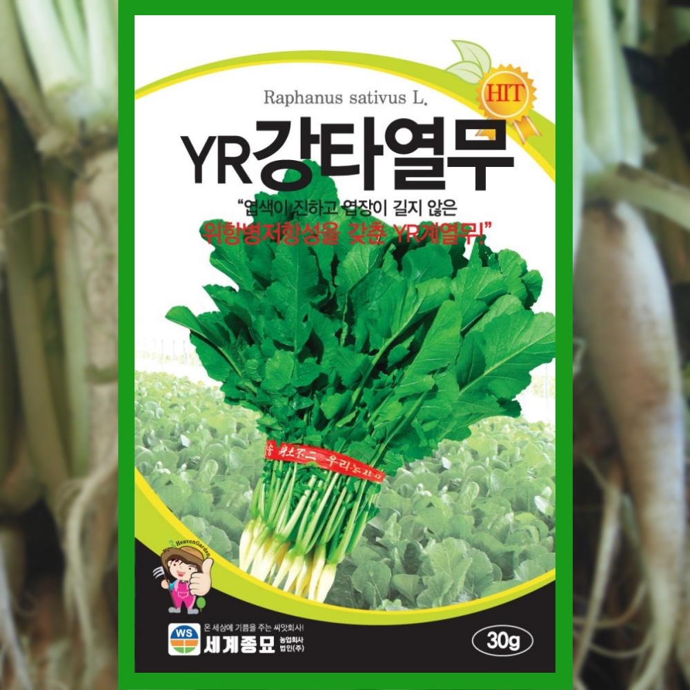 열무씨앗 30g YR강타 열무 씨앗 종자 무씨 채소 : 파머씨드